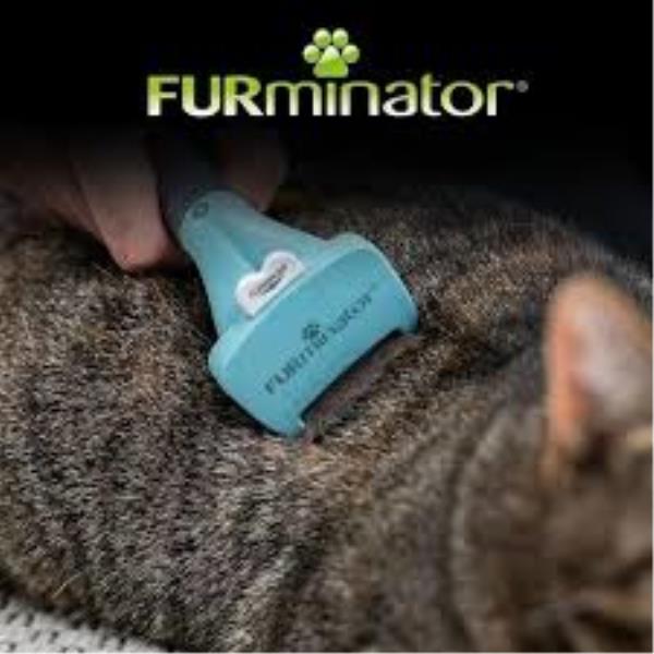 Furminator Shorthair L  Kedi Tüy Toplama Tarağı